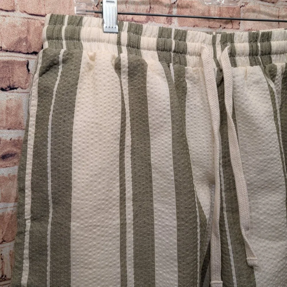 Forever 21 Swim Trunks Shorts Striped Green and Cream Size Large